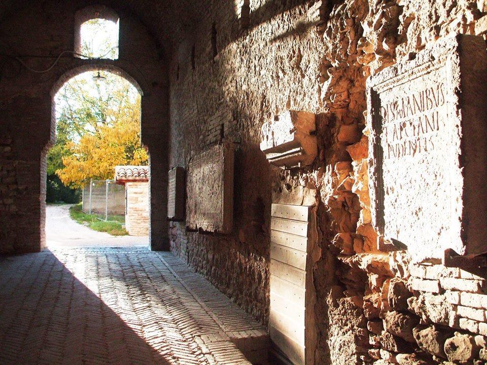 Casa Filippini Bed & Breakfast Fossombrone Dış mekan fotoğraf